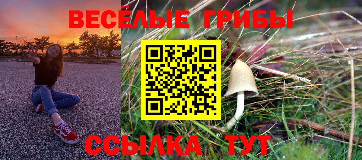 Галлюциногенные грибы ЛСД Артёмовский