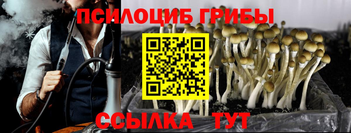 Псилоцибиновые грибы ЛСД  Вход с VPN  Артёмовский 